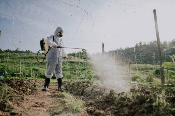 Best Commercial Pest Control Services  in Tamaqua, PA