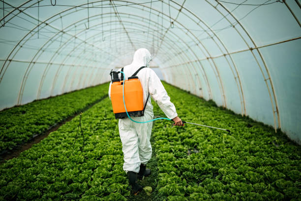 Best Pest Inspection Near Me  in Tamaqua, PA