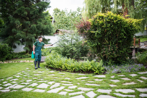 Best Ant Control Services  in Tamaqua, PA