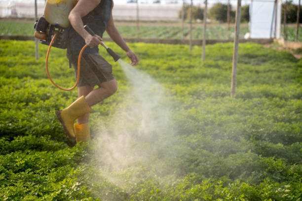 Best Best Pest Control Companies  in Tamaqua, PA