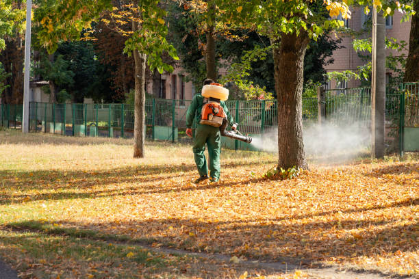 Best Best Pest Control Companies  in Tamaqua, PA